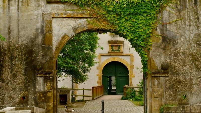 Fotoquelle: Biologiezentrum Bustedt in Ostwestfalen-Lippe e.V.