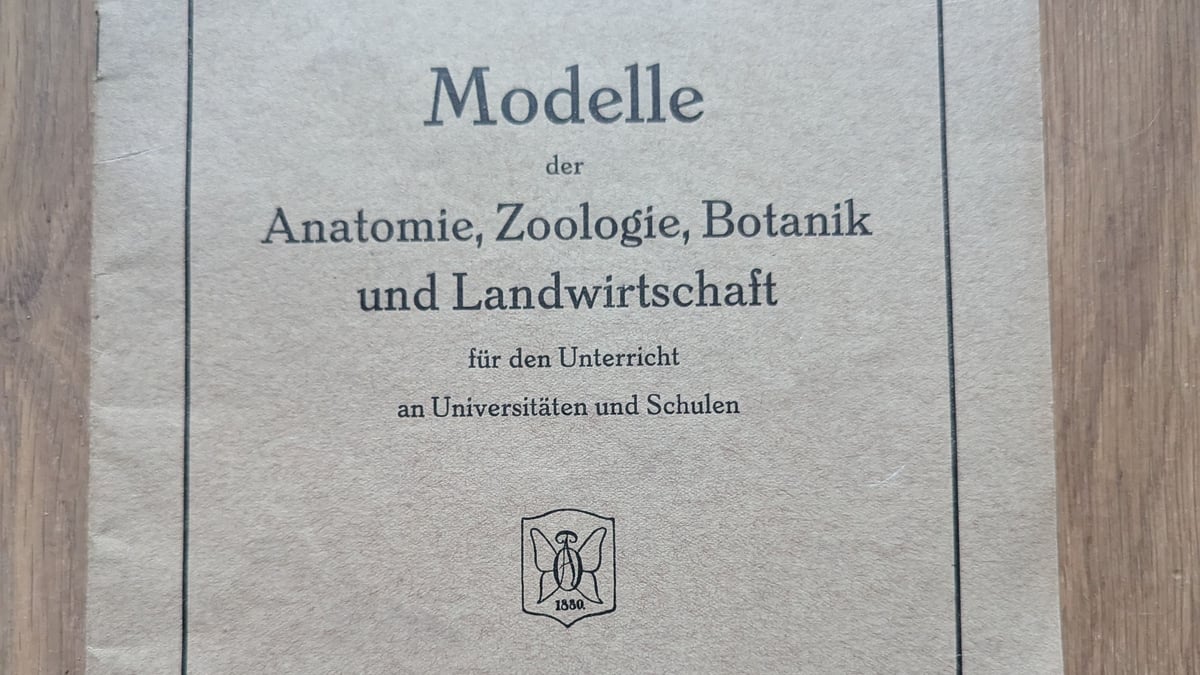 Fotoquelle: Jonathan Schulz