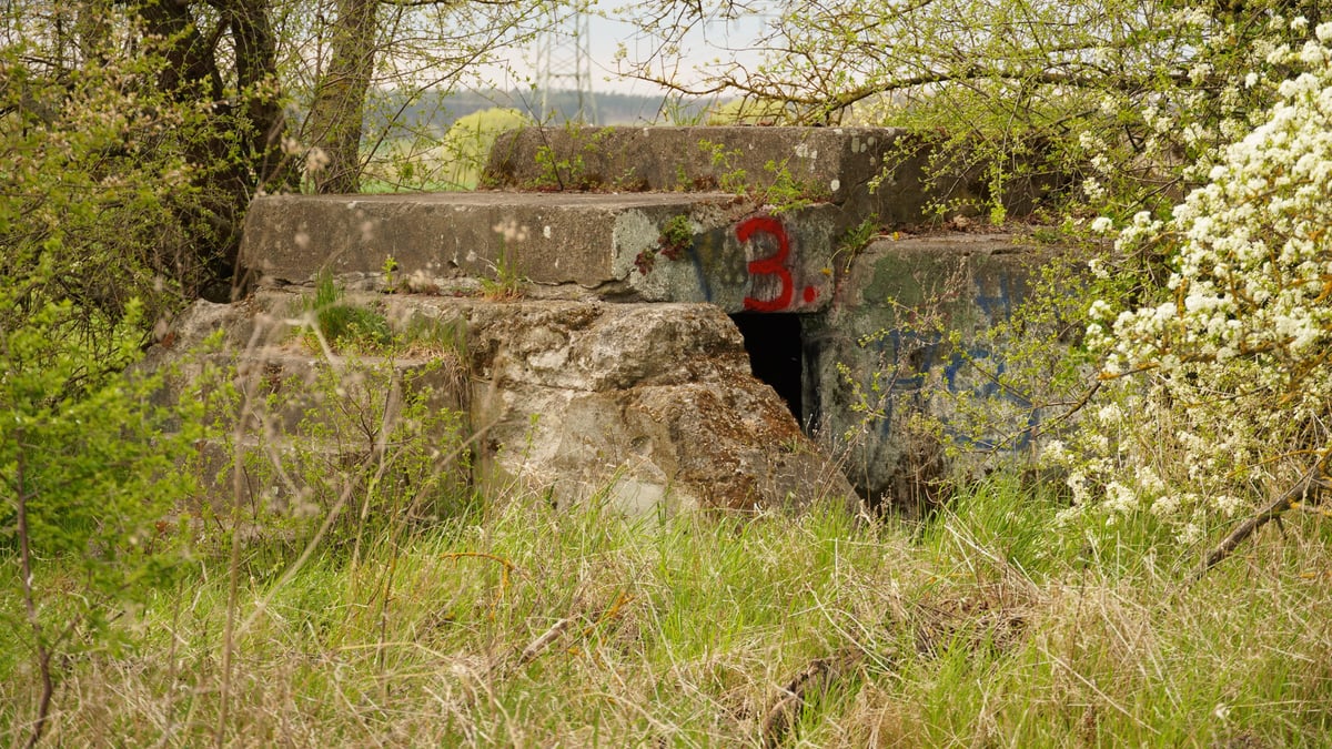 Fotoquelle: Ralf Hannusch