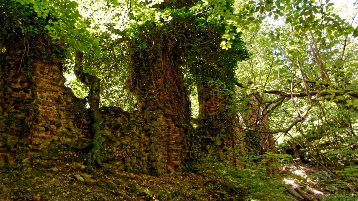 Fotoquelle: Anna Graff