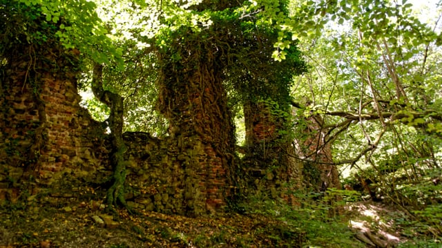 Klosterruine Schwarzenbroich im Meroder Wald