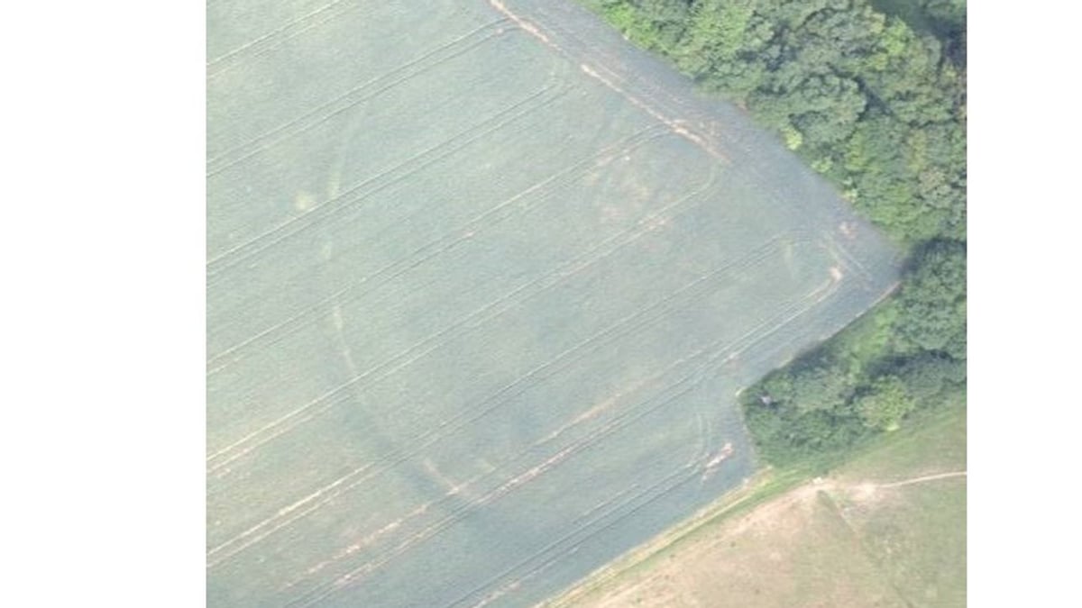 Fotoquelle: Landesamt für Denkmalpflege im RP Stuttgart