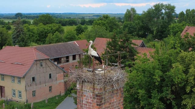 Amtsgutshaus Werningshausen