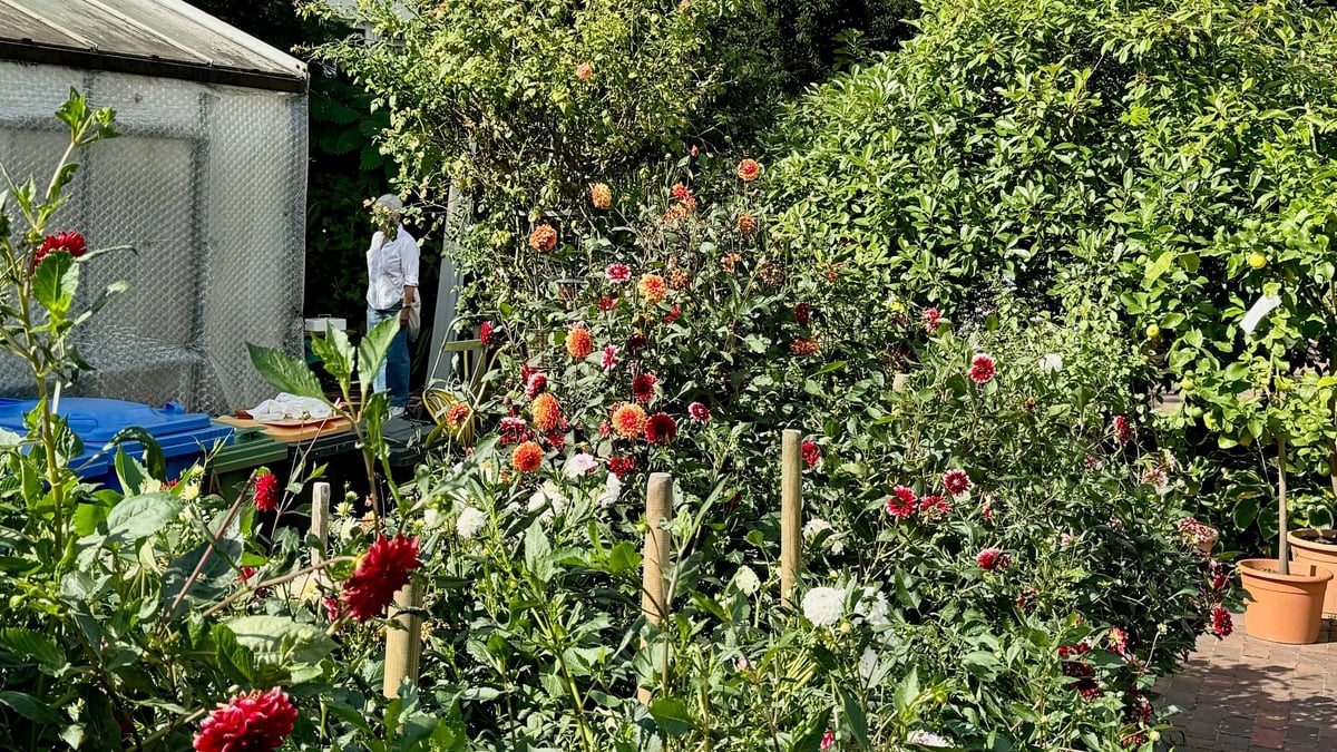 Fotoquelle: Ulrike Hollinderbäumer