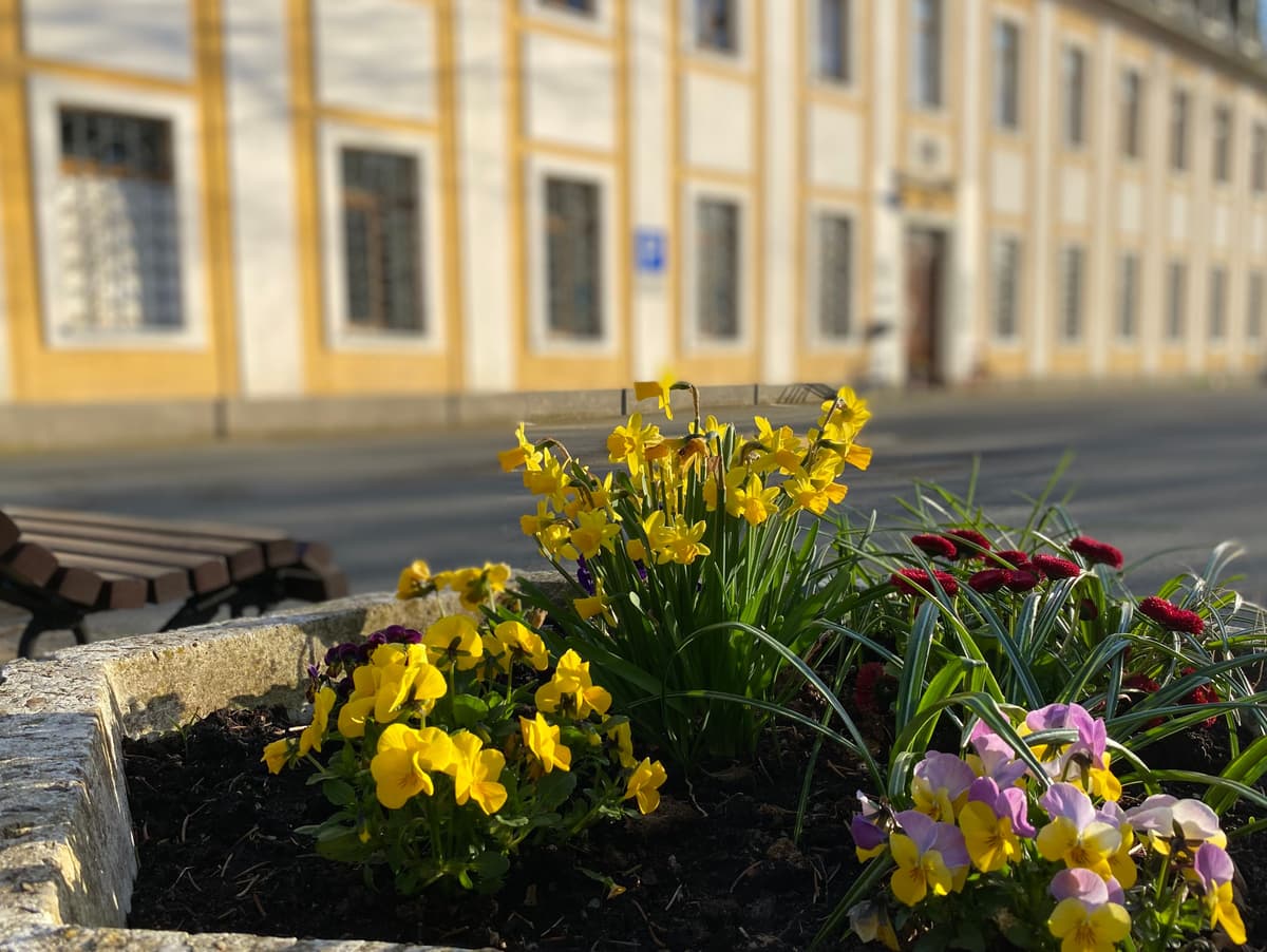 Schloss Leubnitz