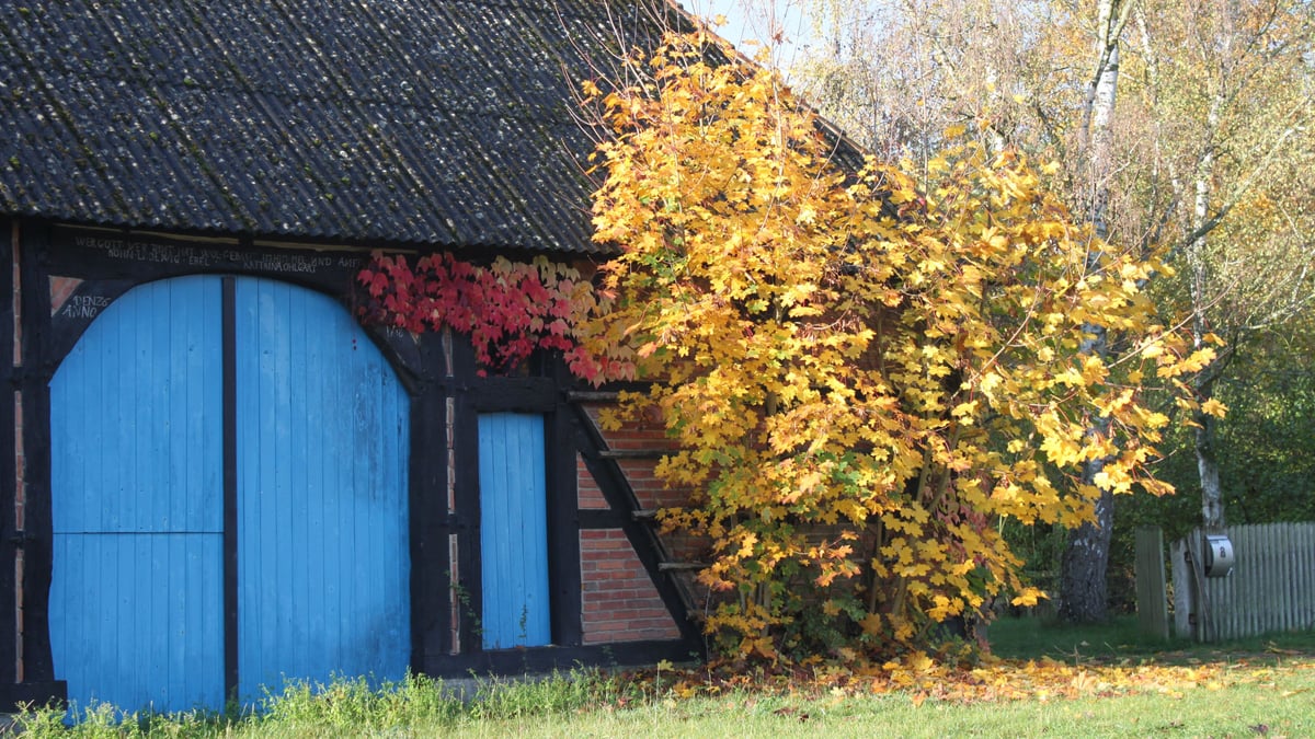 Fotoquelle: angela hartig