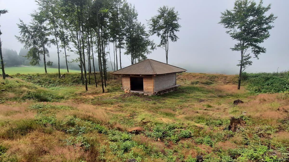 Freigelegte Ringelschanze mit Blockhaus
