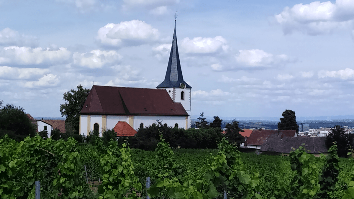 Fotoquelle: Felix Herrmann