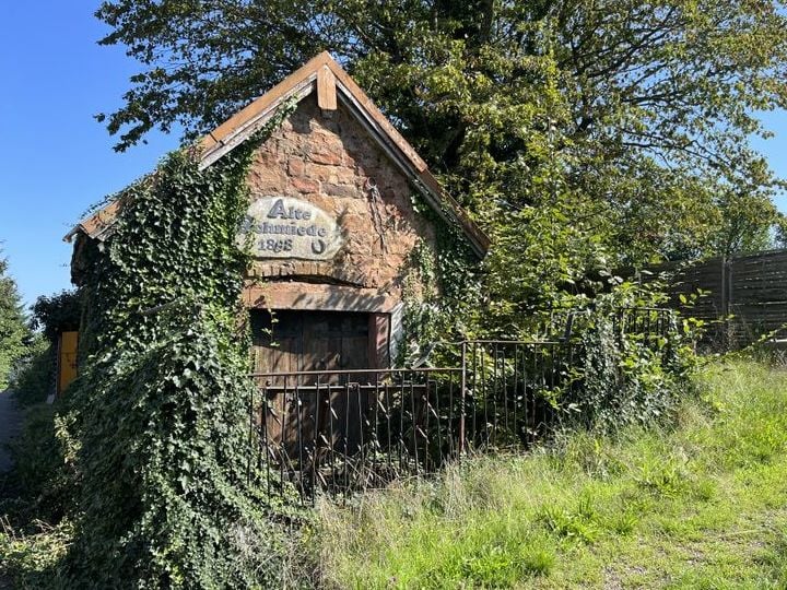 Fotoquelle: Alex Stork