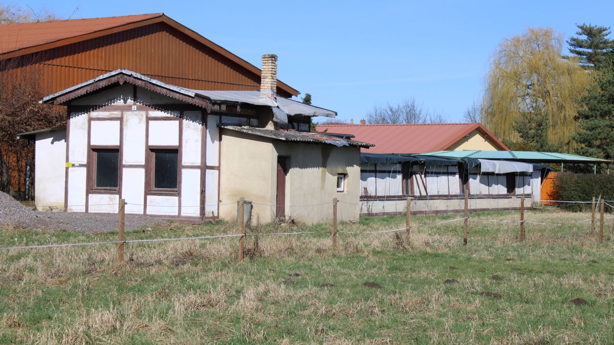 Fotoquelle: Auwaldstation Leipzig gGmbH