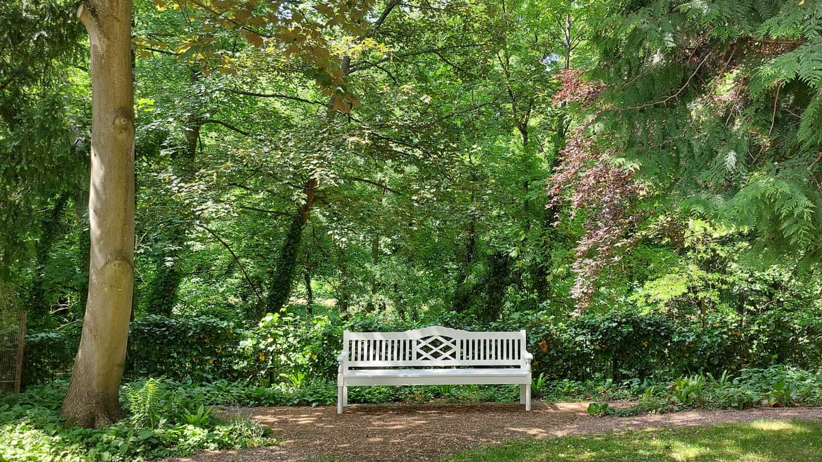 Bürgermeisterhaus Garten