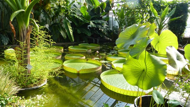 Botanischer Garten des KIT