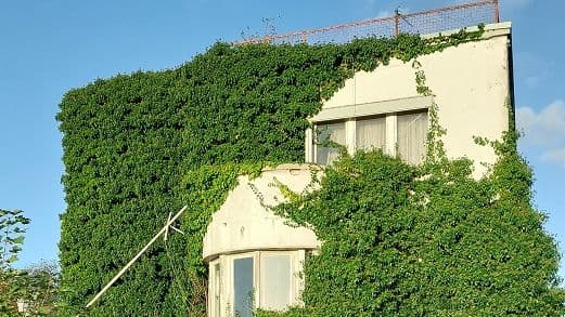 Haus Haan, 2023