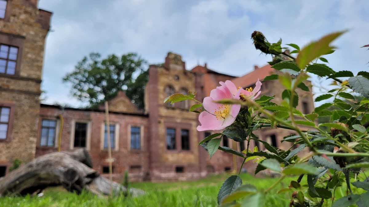 Rittergut Friedeburg