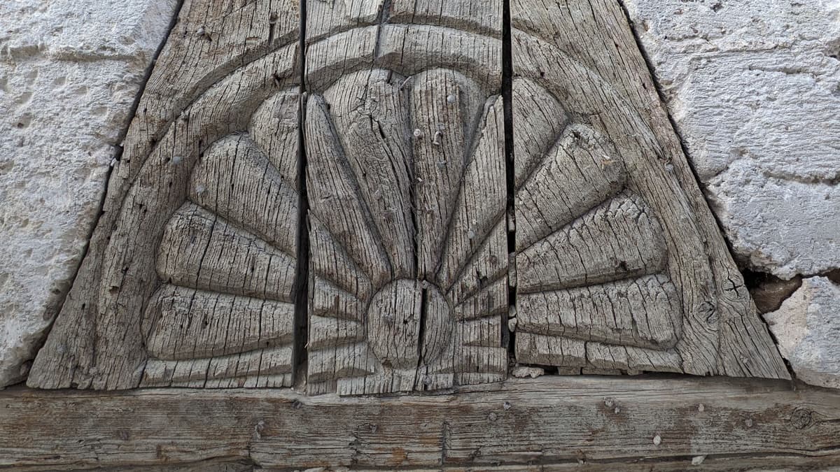 Detailfoto Fächerrosette