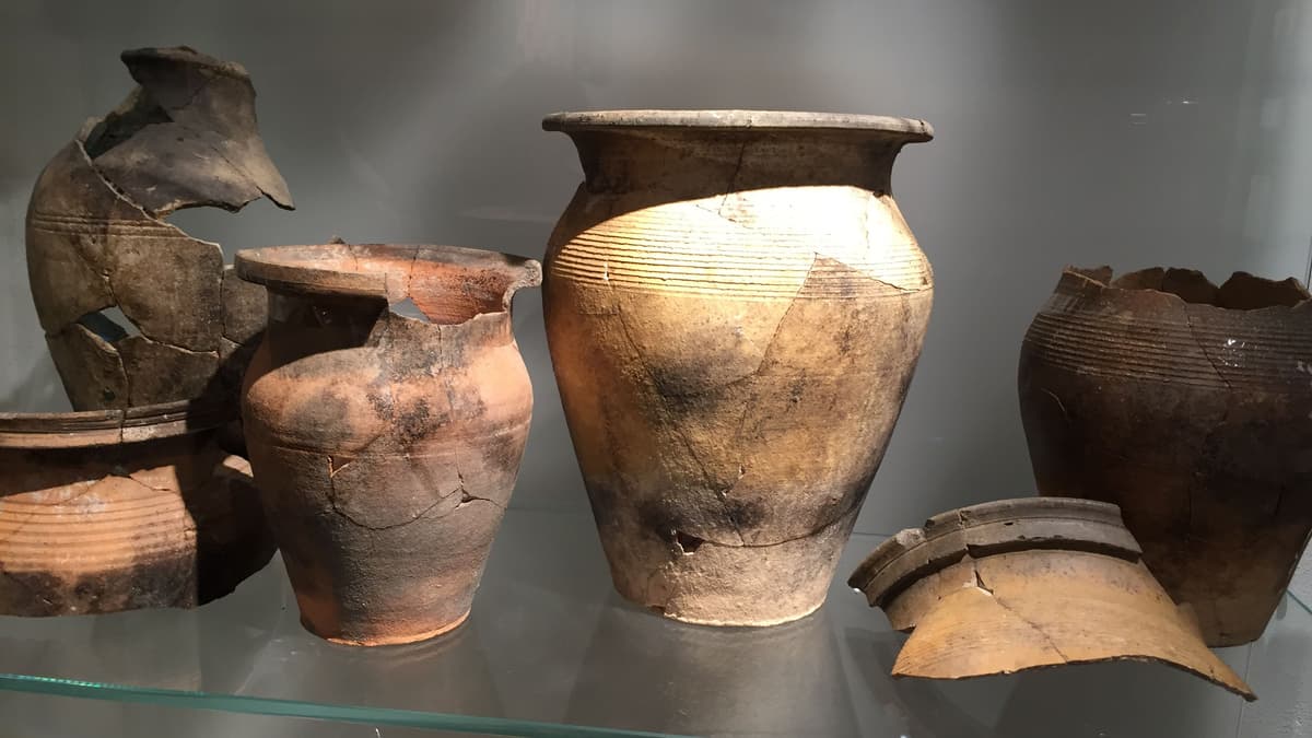 Archäologische Funde aus dem Synagogengrundstück