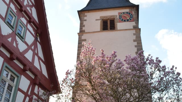 Ev. Albanikirche Mühlhausen