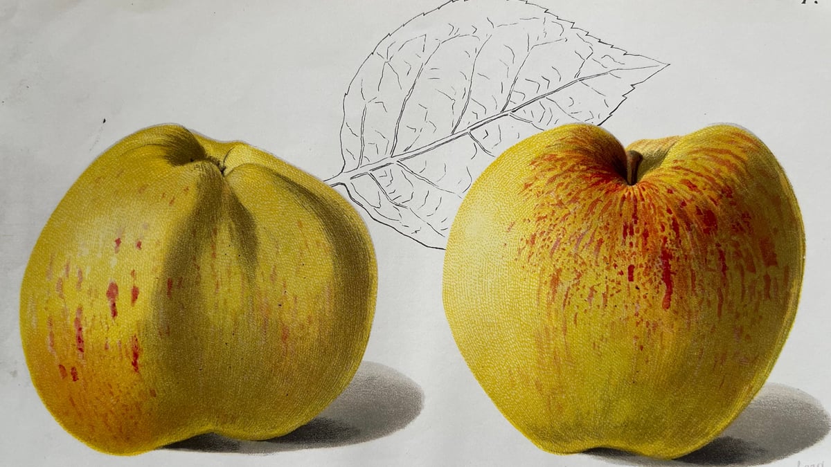 Fotoquelle: Kloster Speinshart