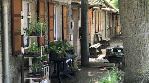 Langes Haus Altfriedland Vorderseite