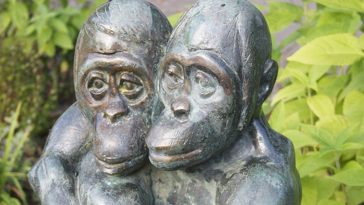 Fotoquelle: Christoph Liepach