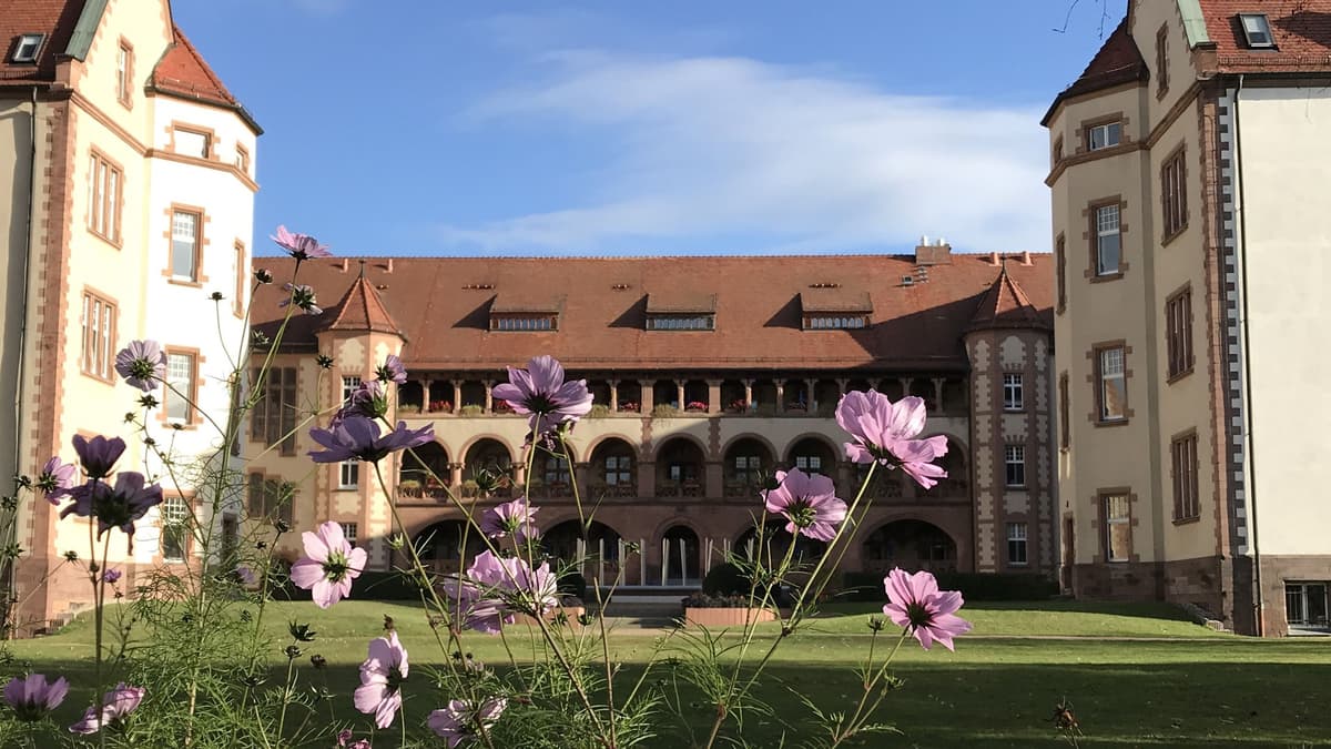 Blick vom Park auf das Haus