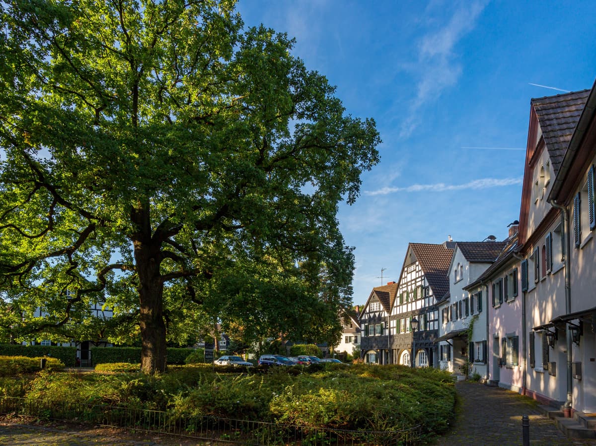 Platz an der Eiche