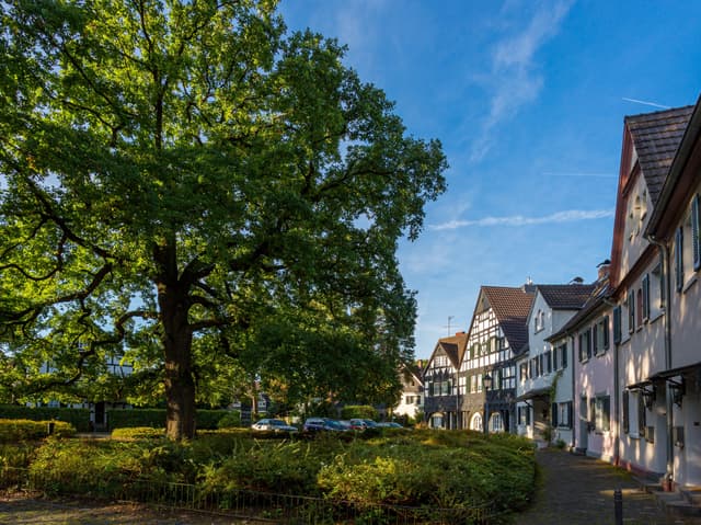 Gartensiedlung Gronauer Wald