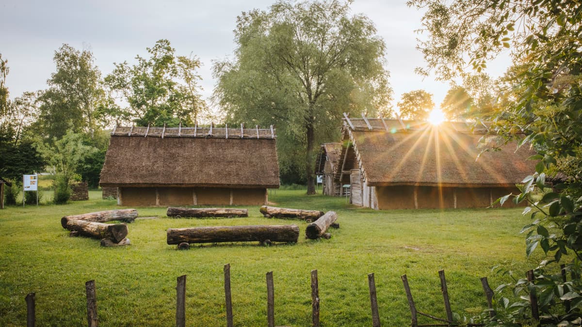 Frühling 2025 im Steinzeitdorf