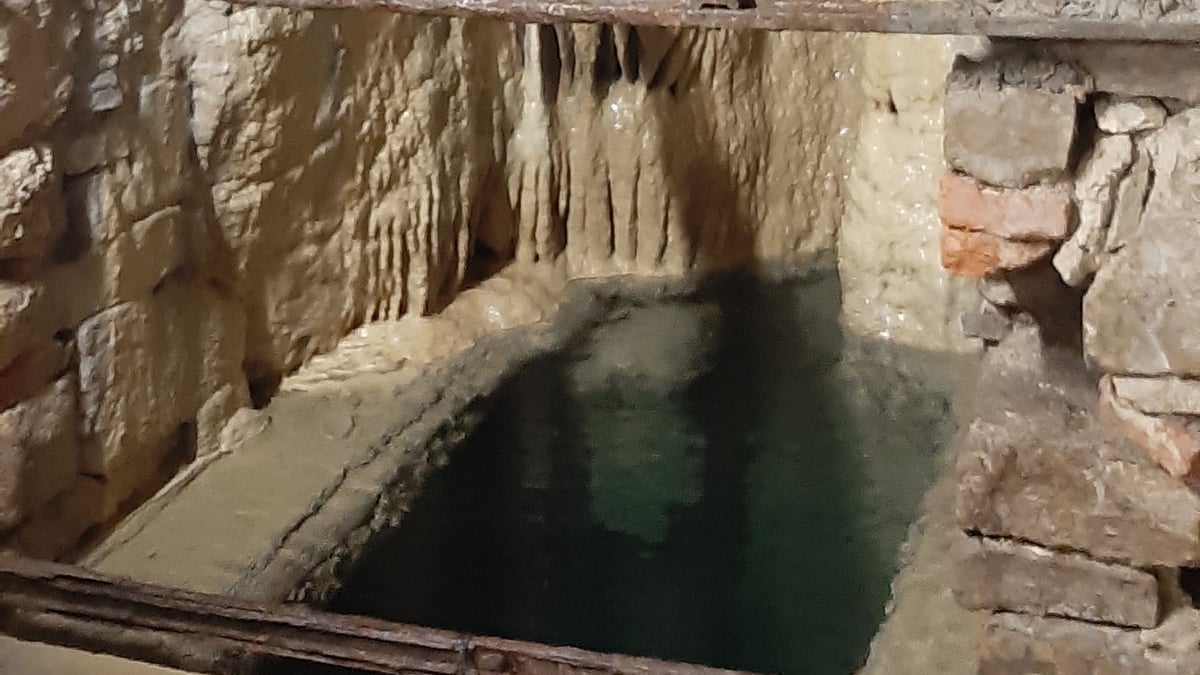 Fotoquelle: Ulrich Schroefel