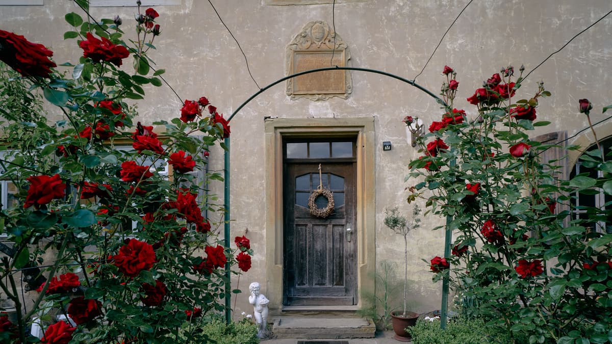 Detail der Fassade mit Rosen