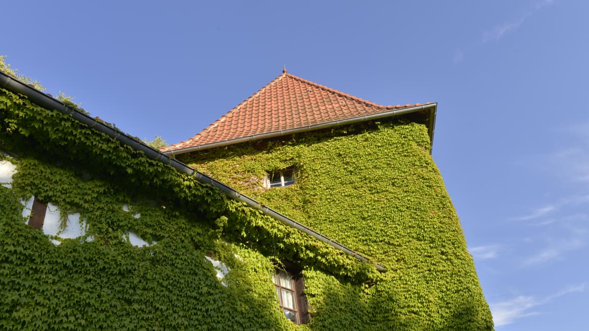 Neuer Rüxleber Hof Aussenansicht