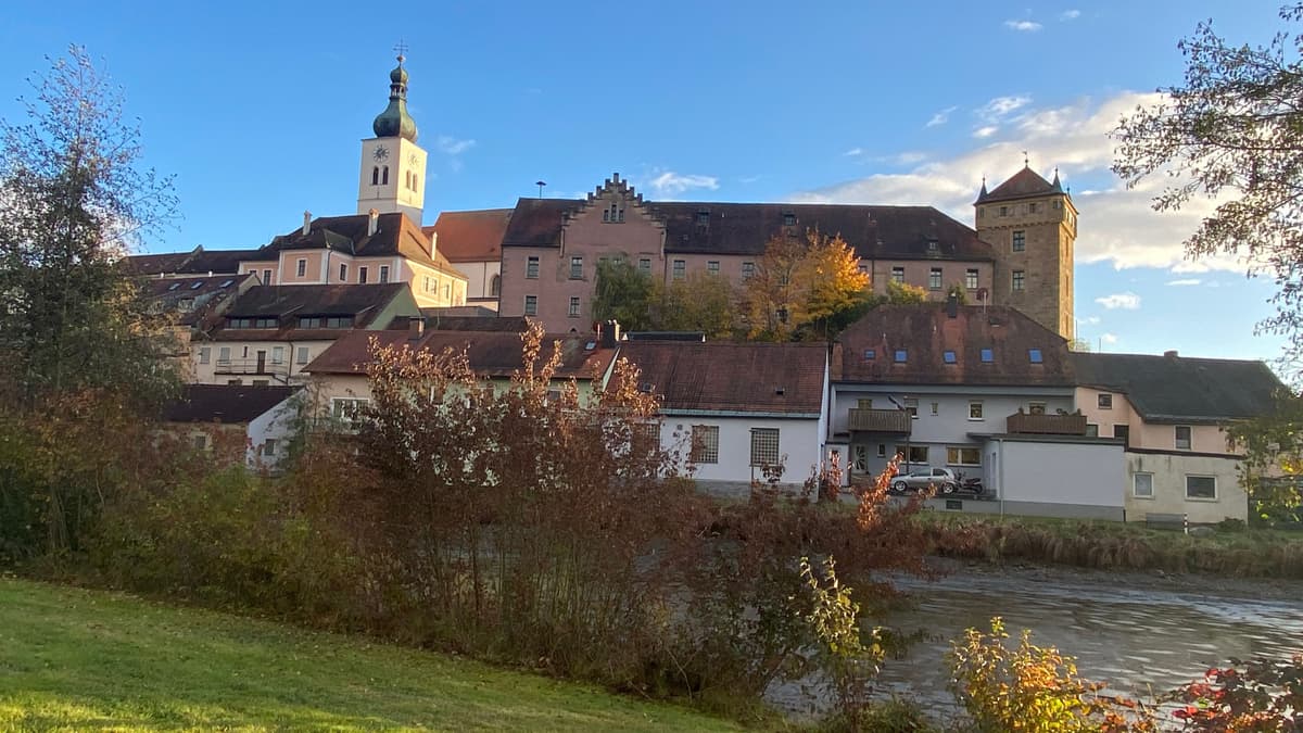 Stadt Neunburg mit Schloss