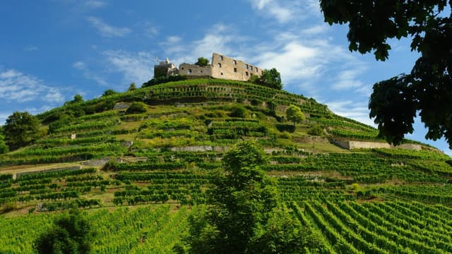 Burg Staufen
