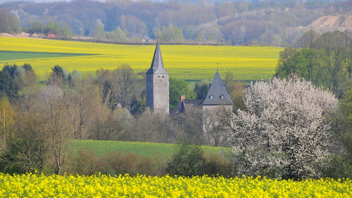 Blick auf die Kirche