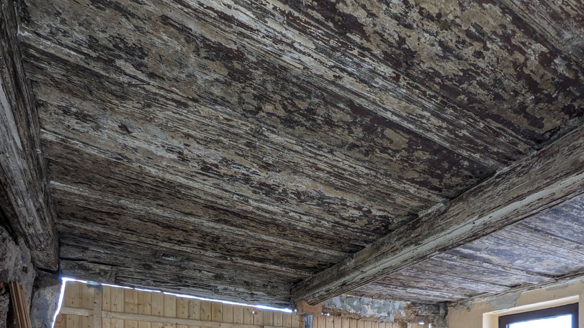 Fotoquelle: Marcel Henschel