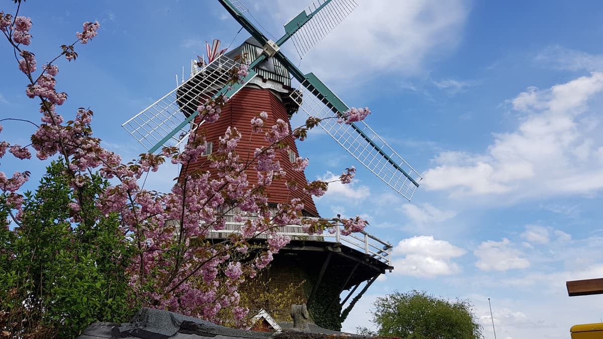Mühle