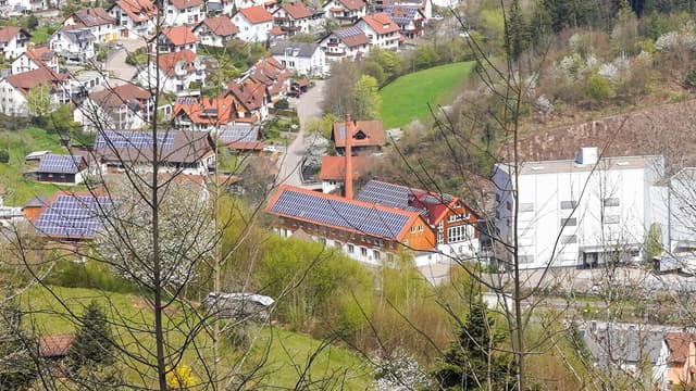 Firma Buzzi, ehemals Sägereibetrieb