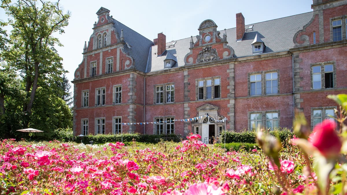 Schloss Bernstorf Rosenblüte