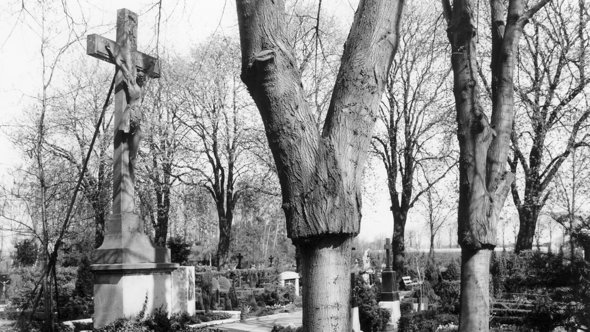 Fotoquelle: Kreis Viersen