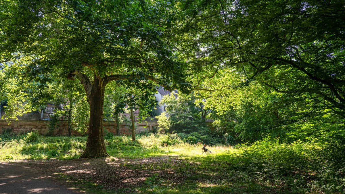 Alter Botanischer Garten Marburg
