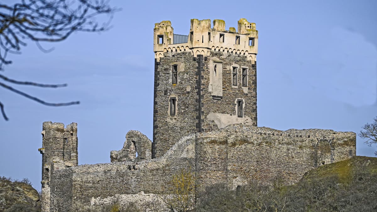 Burg Wernerseck - Blickvon Südosten