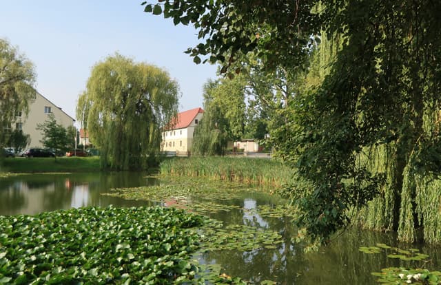 Berggut Zuckelhausen