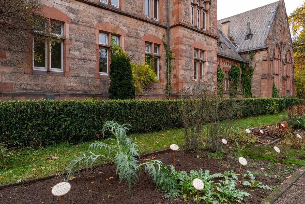 Fotoquelle: Klaus P. Andrießen