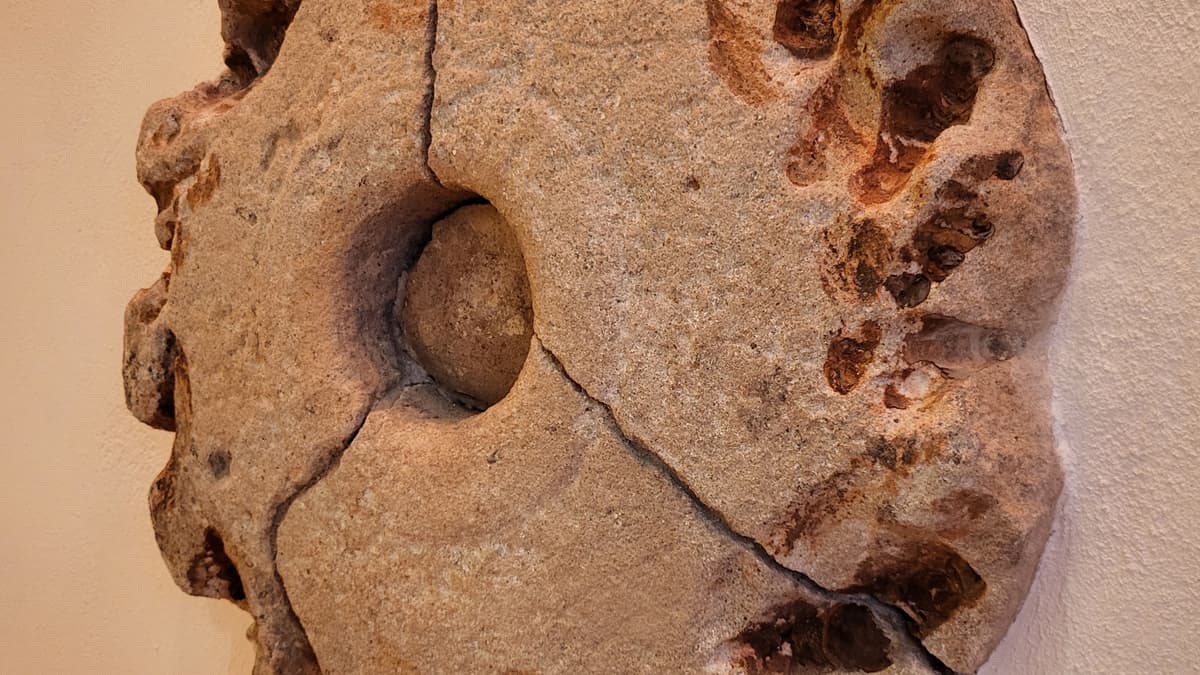 Fundstück: mechanisches Zahnrad ca. 15tes Jahrhundert