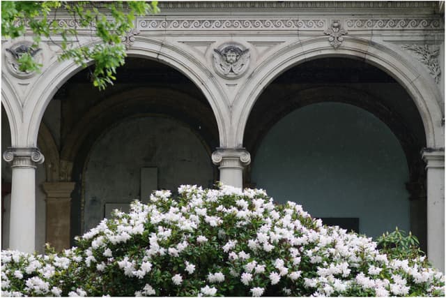 Neuer Annenfriedhof