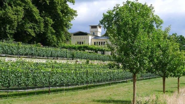 Park der Villa Jacobs Potsdam