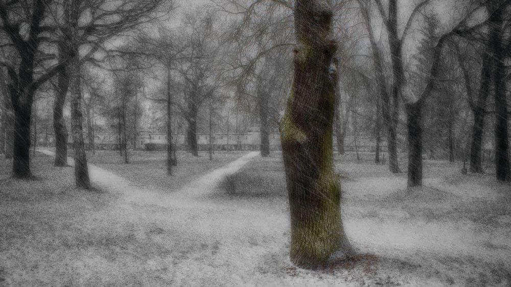 Fotoquelle: Dirk Vorwerk