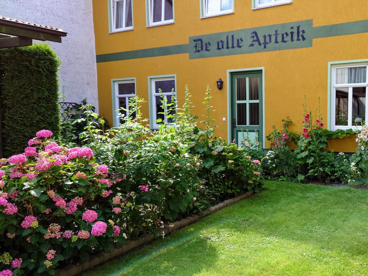 Außenansicht Sommer