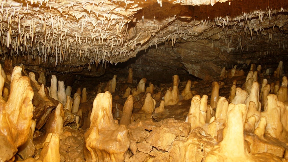 Fotoquelle: Gemeinde Hülben