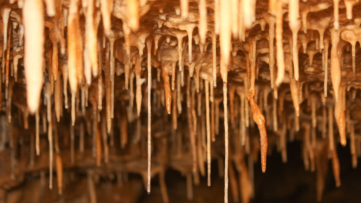 Fotoquelle: Gemeinde Hülben